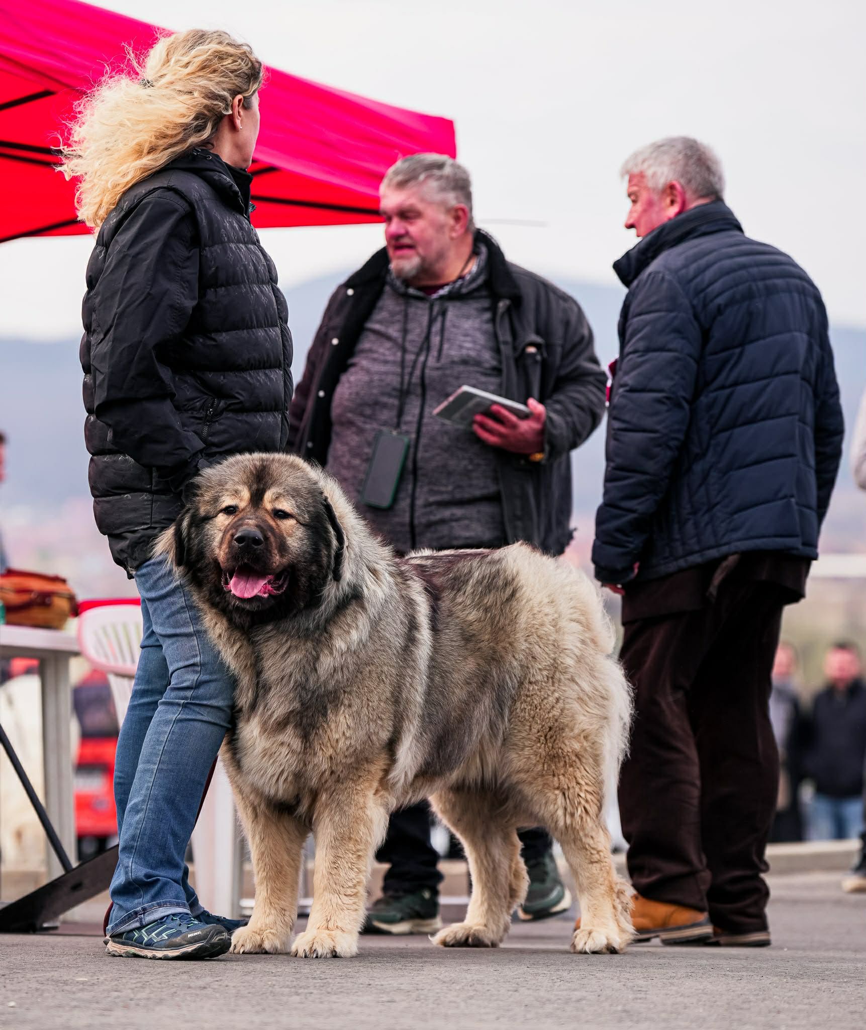 Giant Elbrus Jeni - foto 1