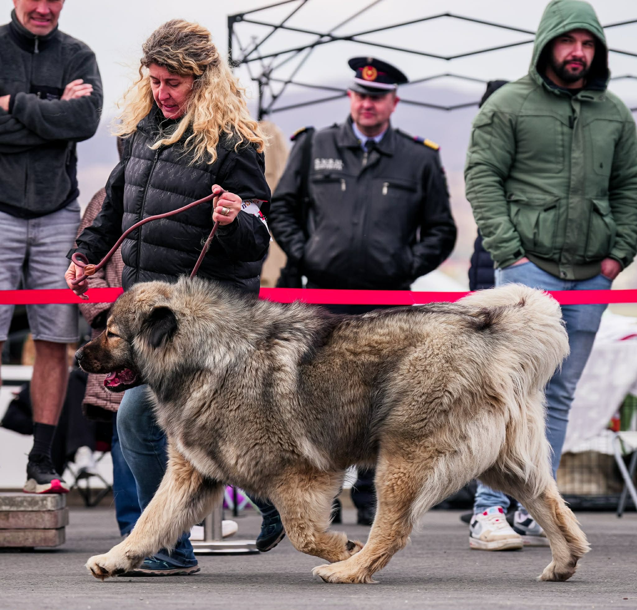 Giant Elbrus Jeni - foto 4