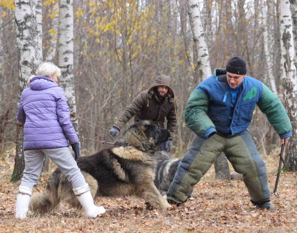 BAIRAK AZSKAS BOETS - thumbnail 3