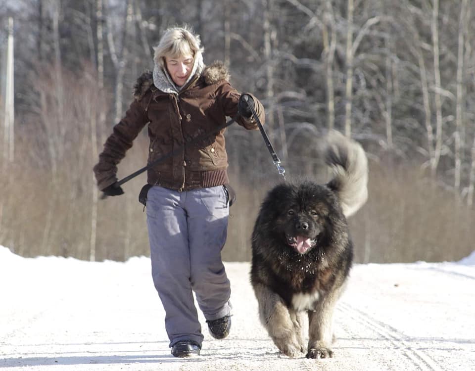 ISHTER IZ STAI VOLKOV - thumbnail 4