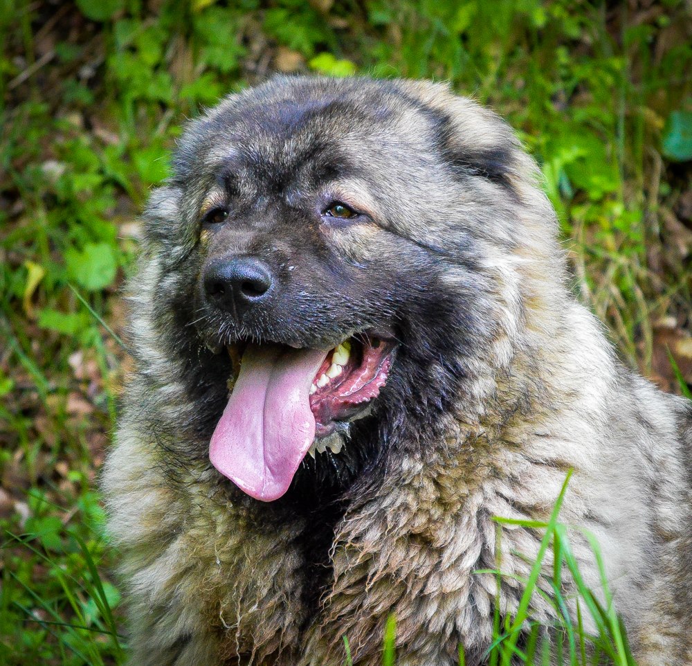 ODJI IZ SVETLOGO DOMA - thumbnail 4