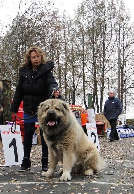 Gorzhus Toboi Vargun